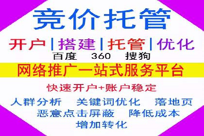 百度广告投放策略与效果评估案例